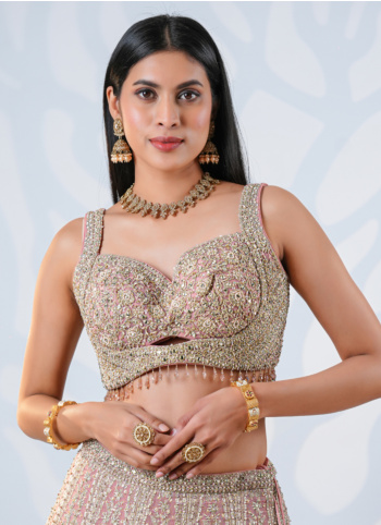 Onion Pink Embroidered Georgette Lehenga Choli
