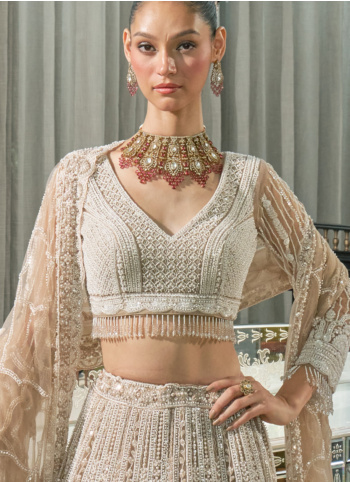 Cream Net Heavy Embroidered Lehenga Choli With Dupatta