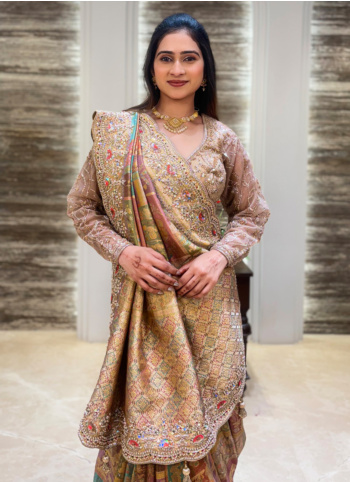 Beige Embroidered Tissue Silk Saree