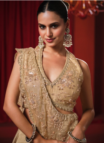 Dark Beige Embroidered Organza Lehenga Choli