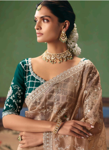 Light Beige Embroidered Organza Saree