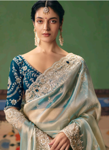 Light Aqua Embroidered Organza Saree