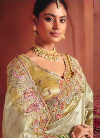 Light Gold Embroidered Banarasi Silk Saree