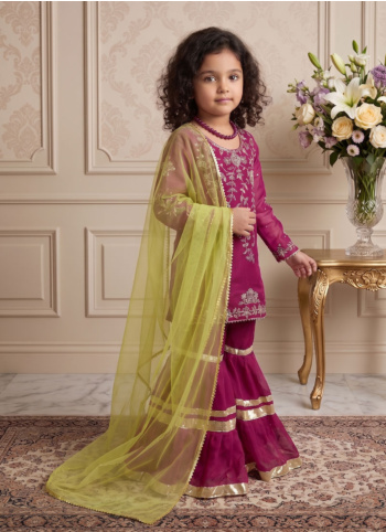 Rani Embroidered Georgette Gharara Suit