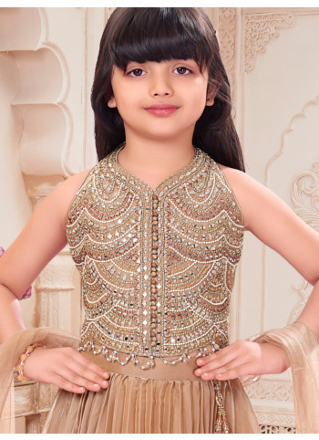 Dark Beige Silk Embroidered Lehenga Choli With Dupatta