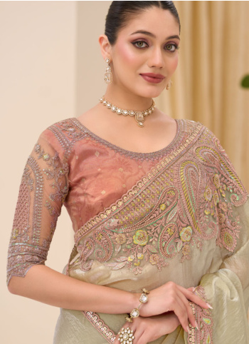 Golden Cream Festive Wear Embroidered Border Chiffon Silk Saree