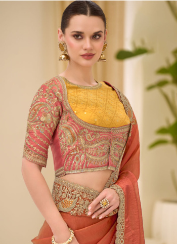 Rust Embroidered Border Chiffon Silk Saree