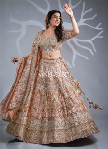 Dark Beige Embroidered Silk Lehenga Choli