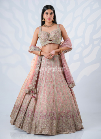 Onion Pink Embroidered Georgette Lehenga Choli