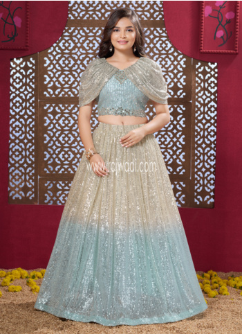 Green Net Embroidered Choli Suit