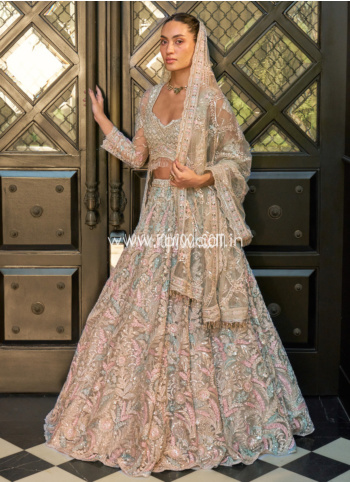 Attractive Chiku Color Embroidered Net Lehenga Choli