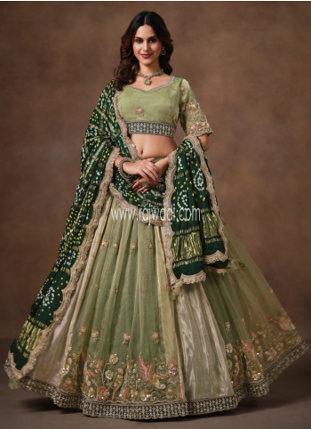 Green Embroidered Organza Lehenga Choli