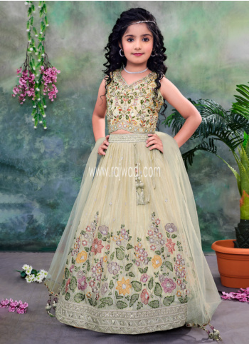 Fawn Color Embroidered Net Lehenga Choli