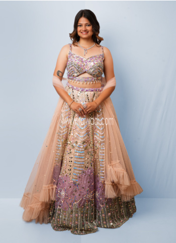 Peach And Multicolor Embroidered Net Lehenga Choli