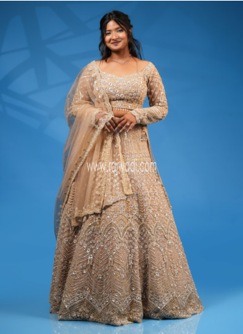Gold Hand Embroidered Net Lehenga Set With Cut Work Border Dupatta