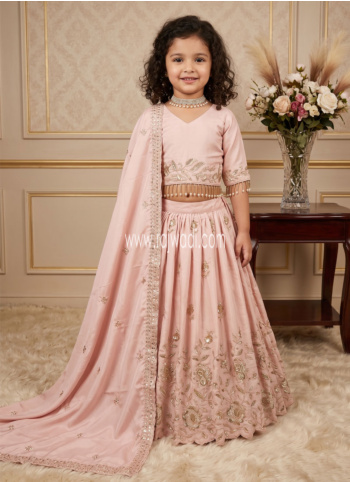 Light Pink Crepe Silk Embroidered Lehenga Choli With Dupatta