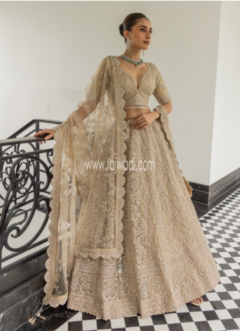 Dark Beige Stone Embroidered Lehenga Choli