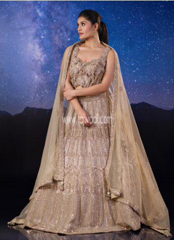 Mesmerizing Dark Beige Hand Embroidered Lehenga Choli
