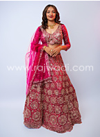 Rani Embroidered Net Lehenga Choli